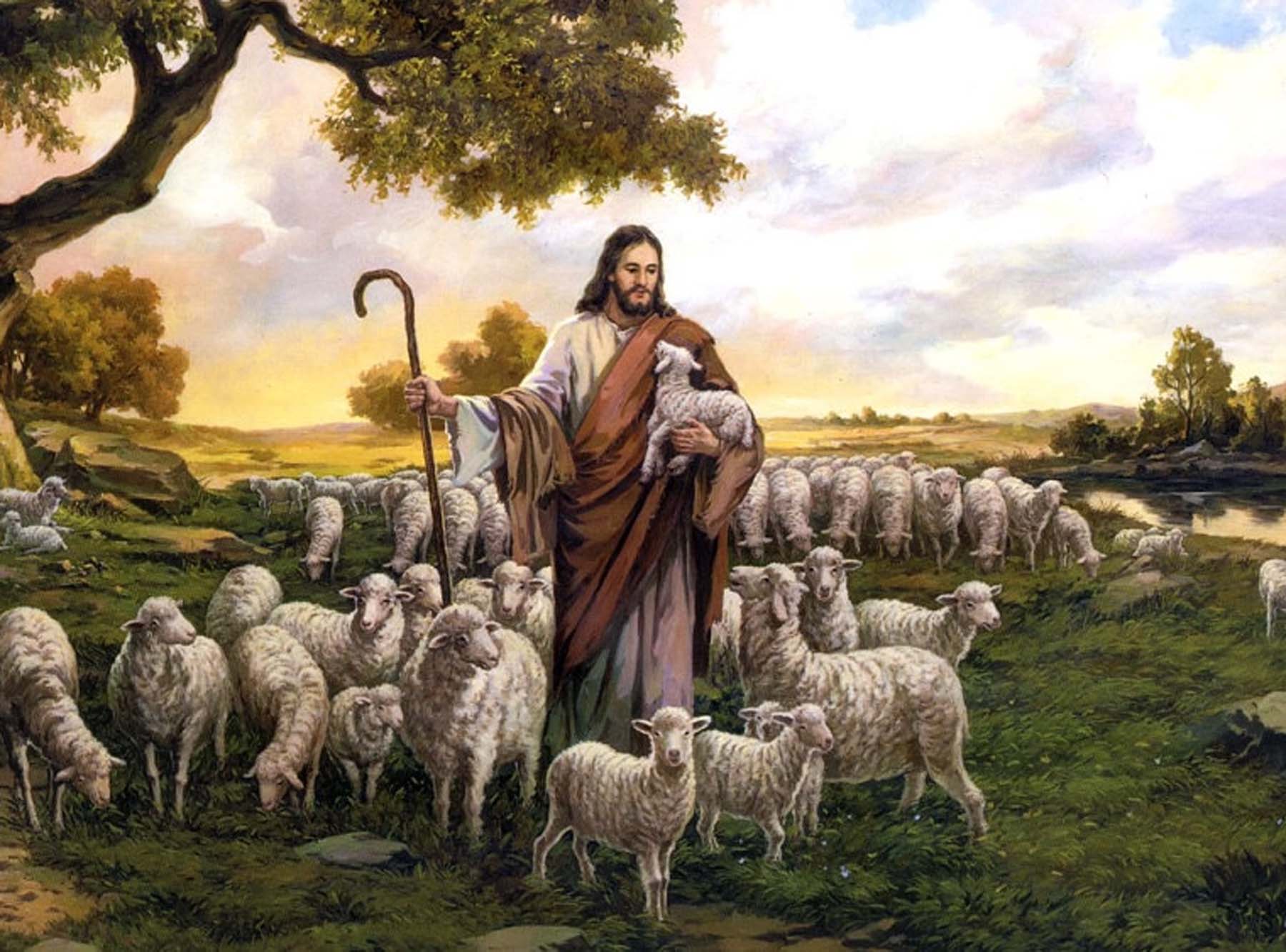 Lost Sheep Christian Forums