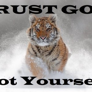 Trust God Not Yourself – Revealing Essential Scripture – Christian Devotional